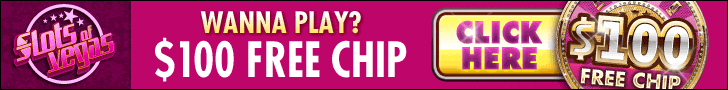 Slots of Vegas |Generic| $100 Free Chip